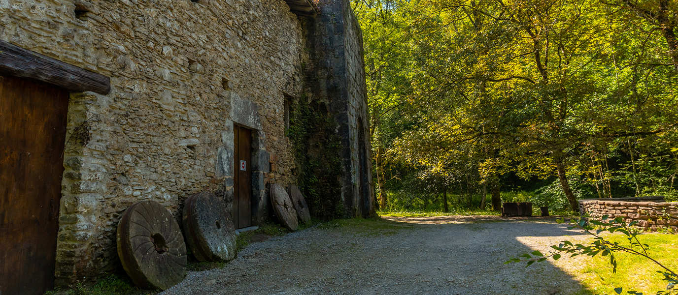 Conjunto molinero de Agorregi: la memoria hidráulica que late bajo el bosque de Pagoeta