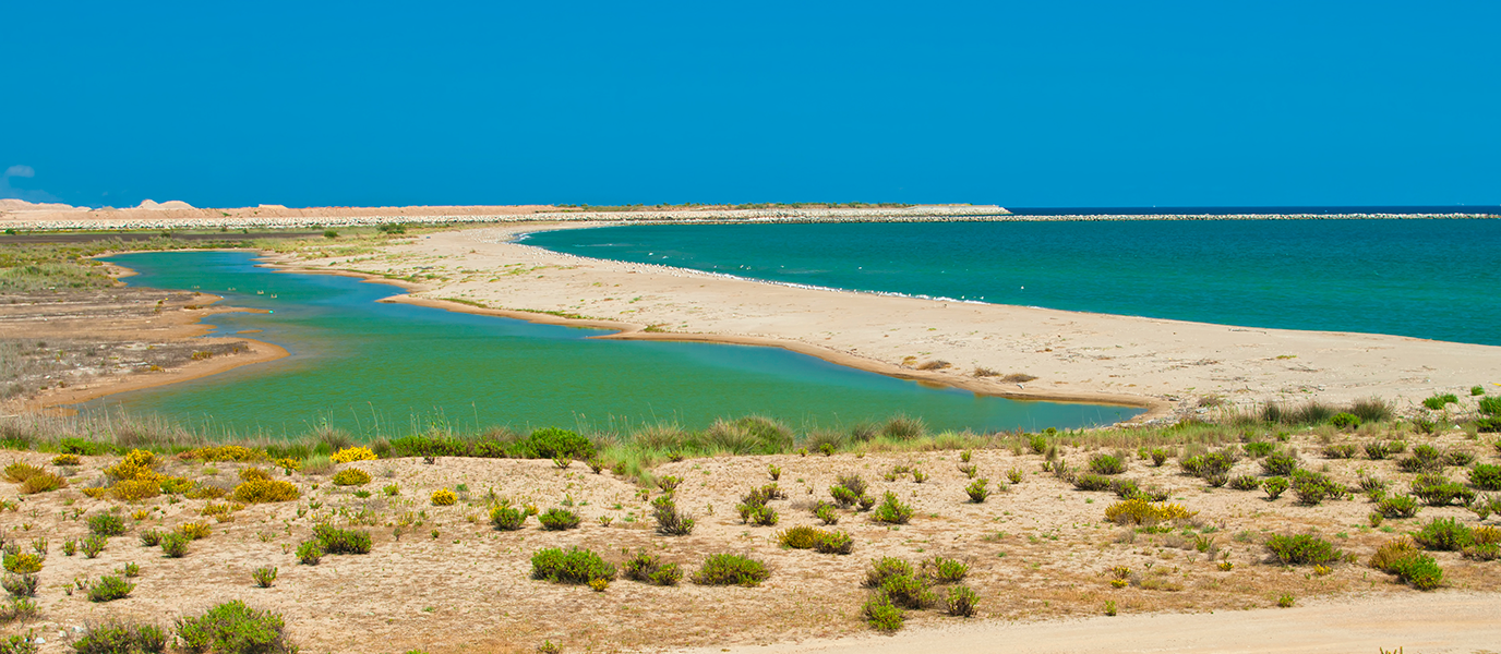 Delta del Llobregat: el humedal que respira a las puertas de Barcelona