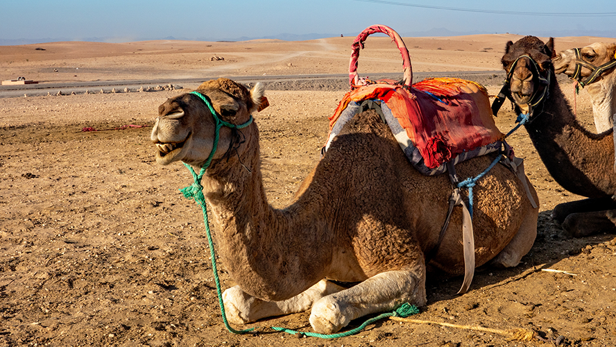 El desierto de Agafay, Marrakech, Marruecos