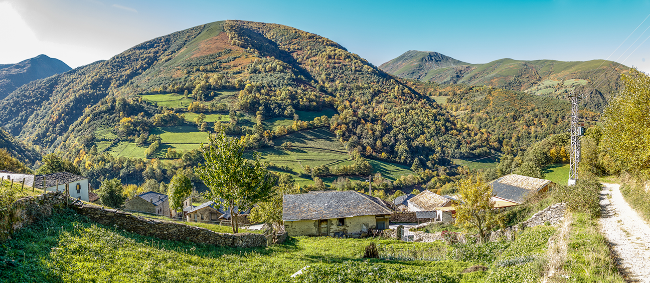Muniellos, donde habita el primitivo bosque de Asturias