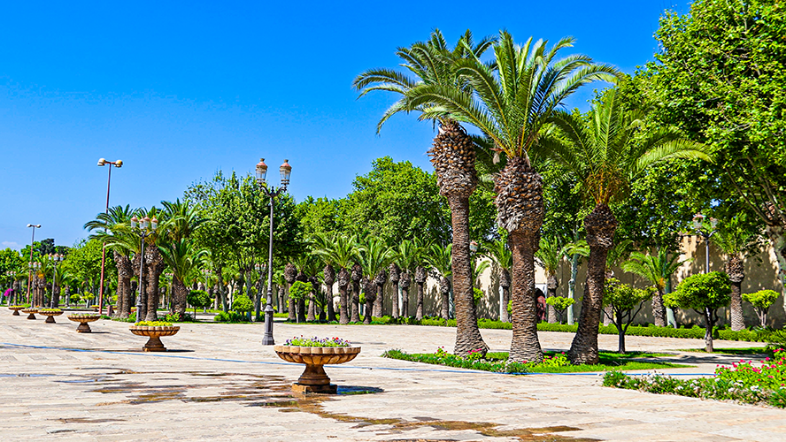 Palacio Real de Fez