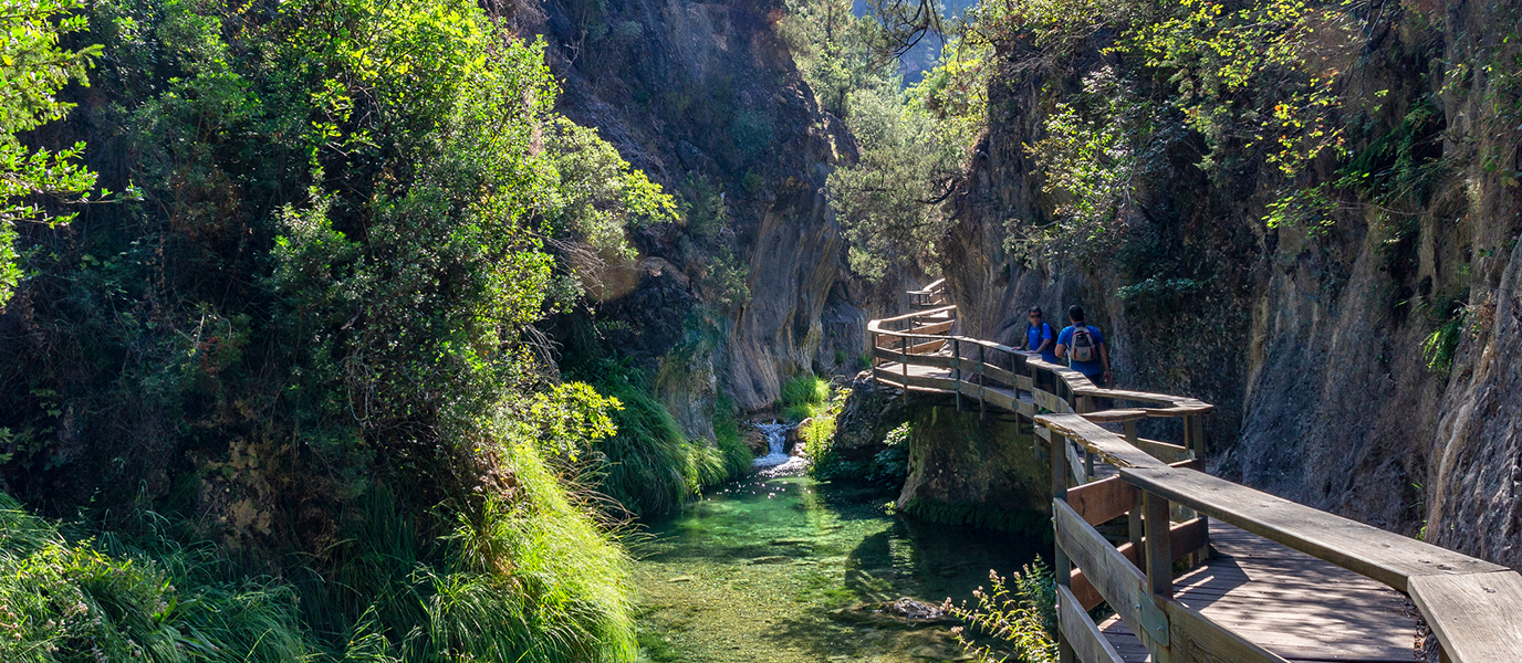 Parque Natural de la Font Roja: el bosque que conserva la memoria del Carrascal de Alcoy
