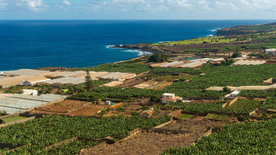 Buenavista-del-Norte