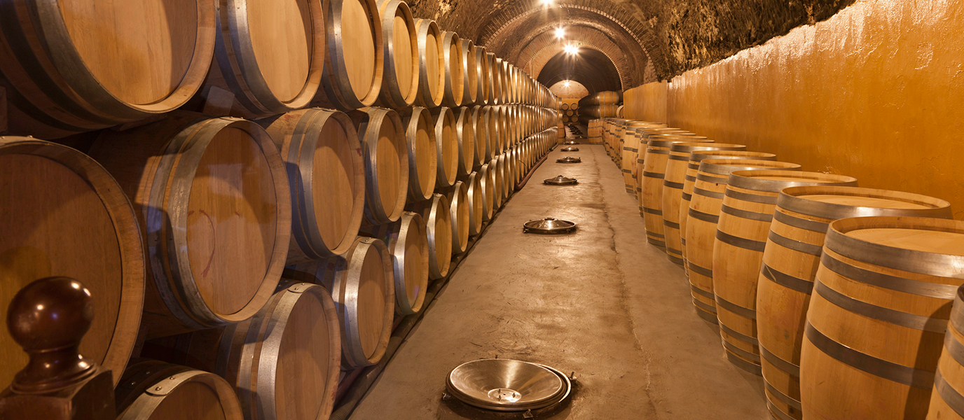 Bodegas de la Ribera del Duero: catedrales del vino en la meseta castellana