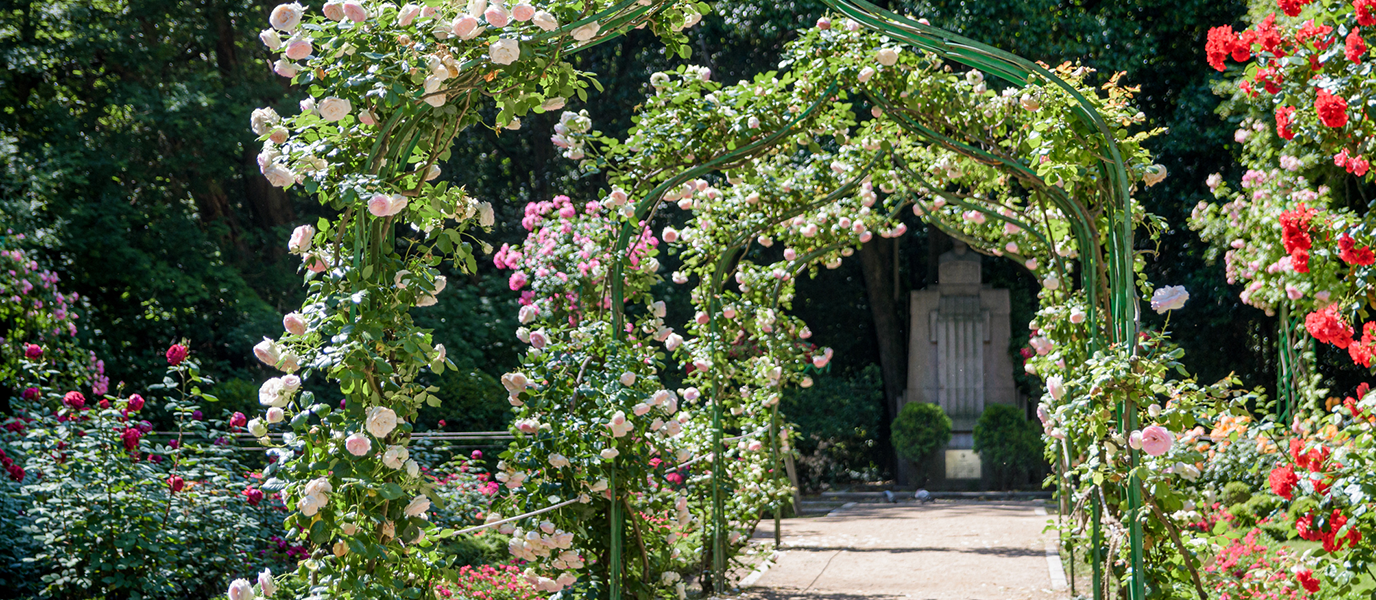 Campo Grande, Valladolid: el jardín decimonónico donde la ciudad aprendió a pasear