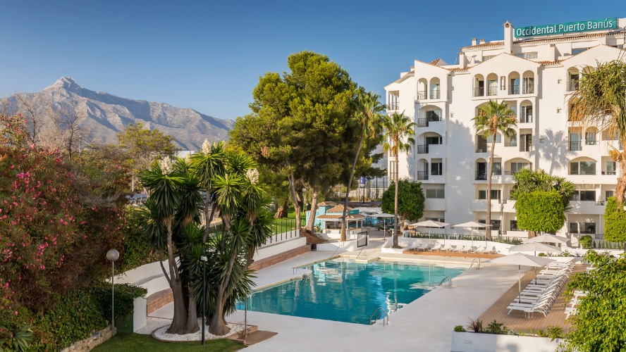 day pass puerto banus