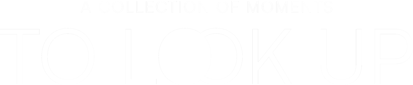 Eclipse Experiences