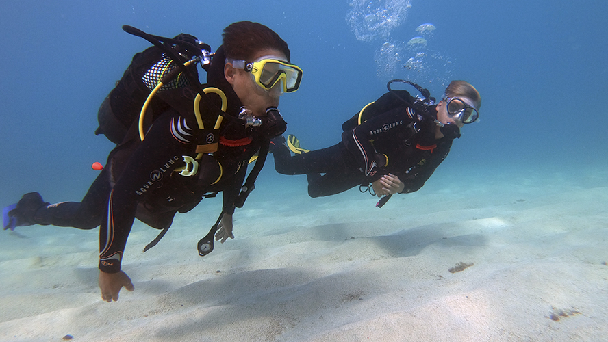 Actividades Tenerife buceo