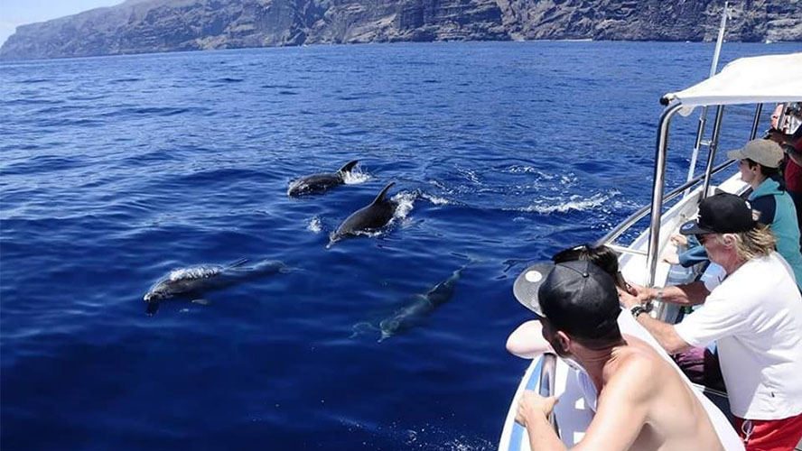 Actividades Tenerife paseos en barco